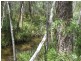 Redridge QLD 4660