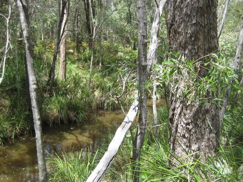 Redridge QLD 4660