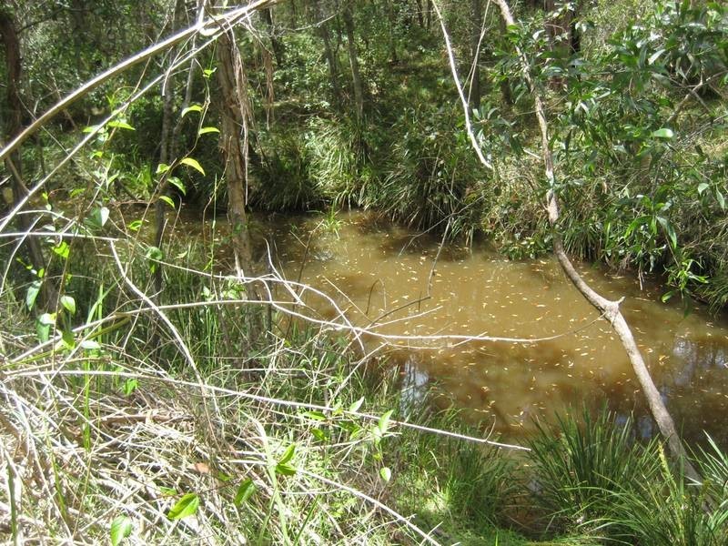 Redridge QLD 4660