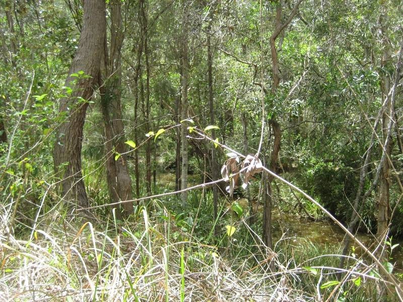 Redridge QLD 4660
