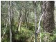 Redridge QLD 4660