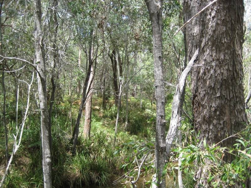 Redridge QLD 4660