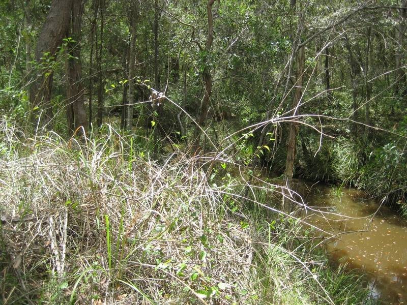 Redridge QLD 4660