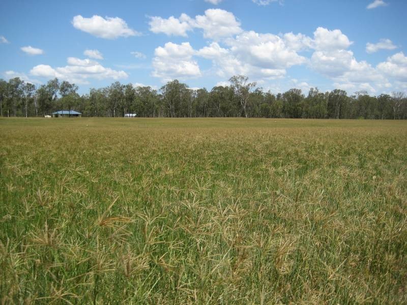 Wallaville QLD 4671