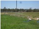 Wallaville QLD 4671