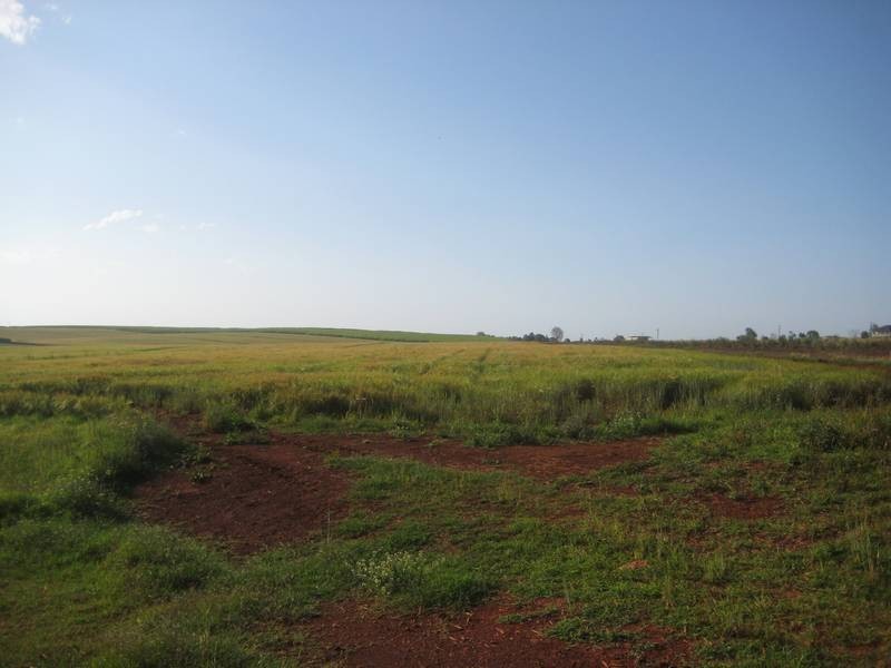 North Isis QLD 4660