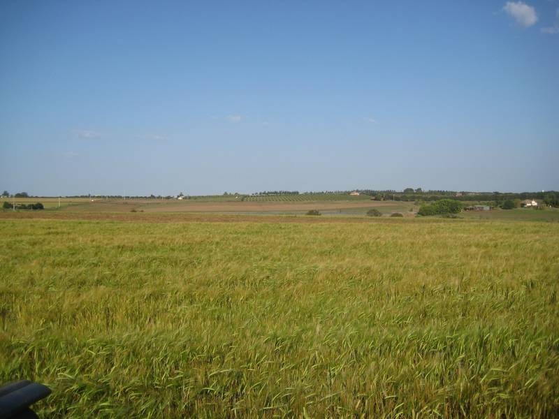 North Isis QLD 4660