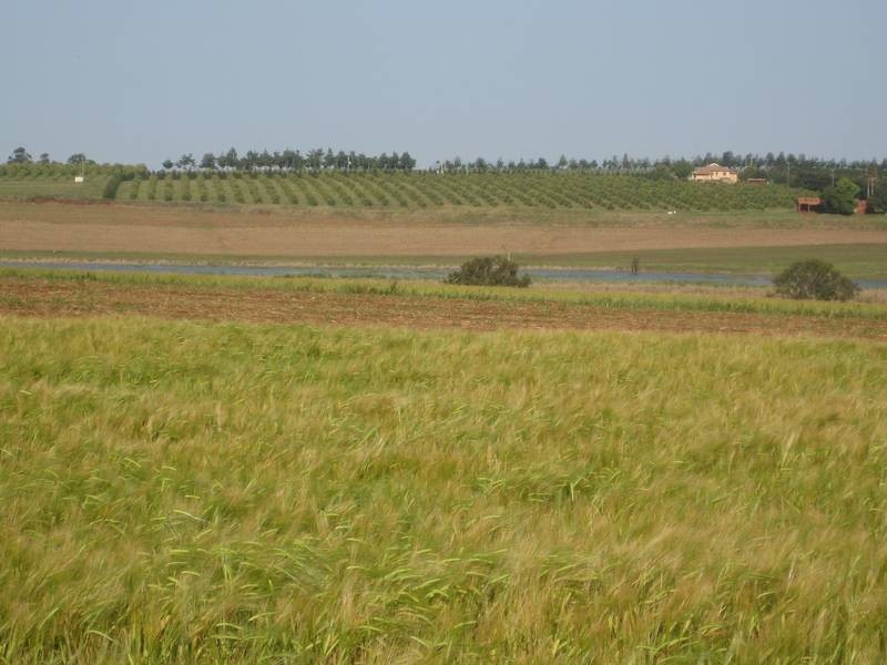 North Isis QLD 4660
