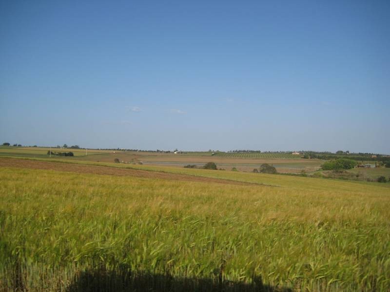 North Isis QLD 4660