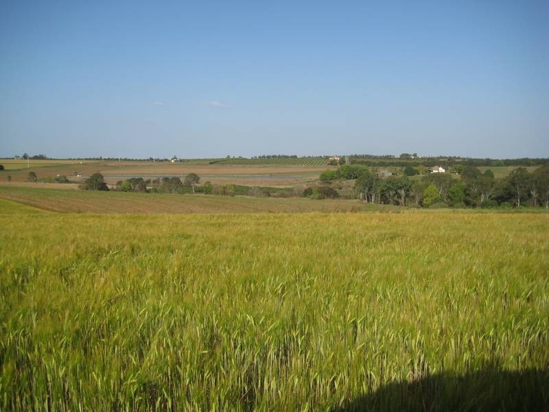 North Isis QLD 4660