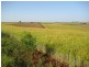 North Isis QLD 4660