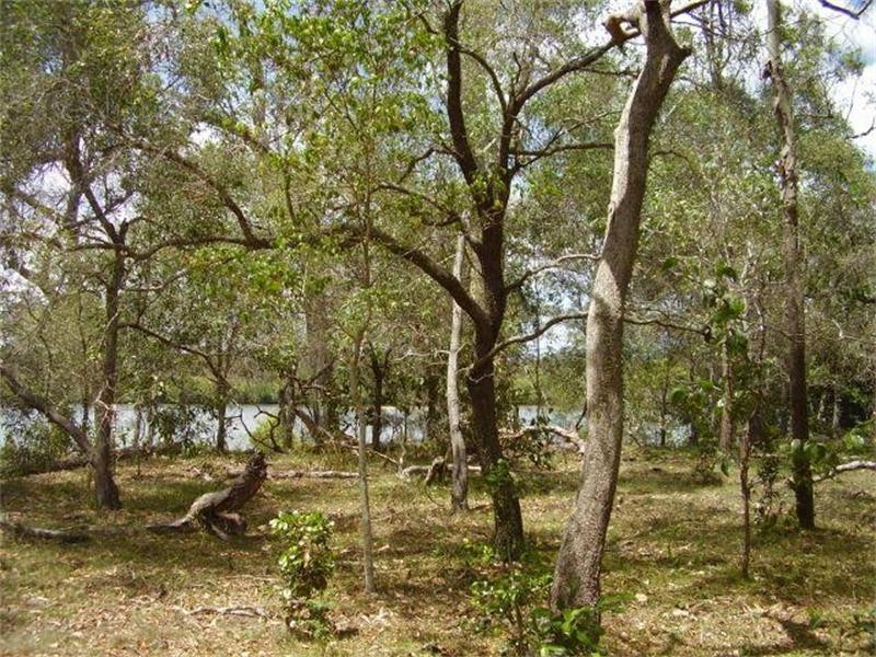 Baffle Creek QLD 4674