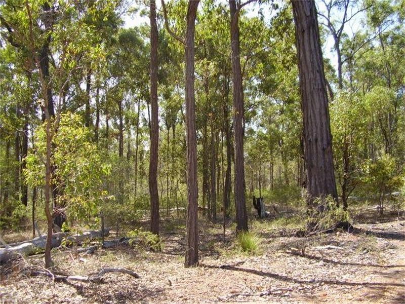 Baffle Creek QLD 4674