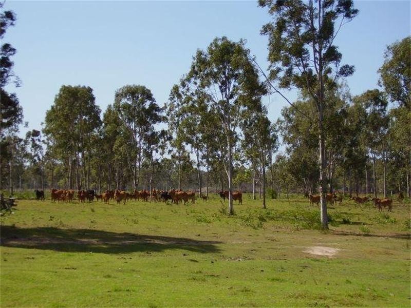 Baffle Creek QLD 4674