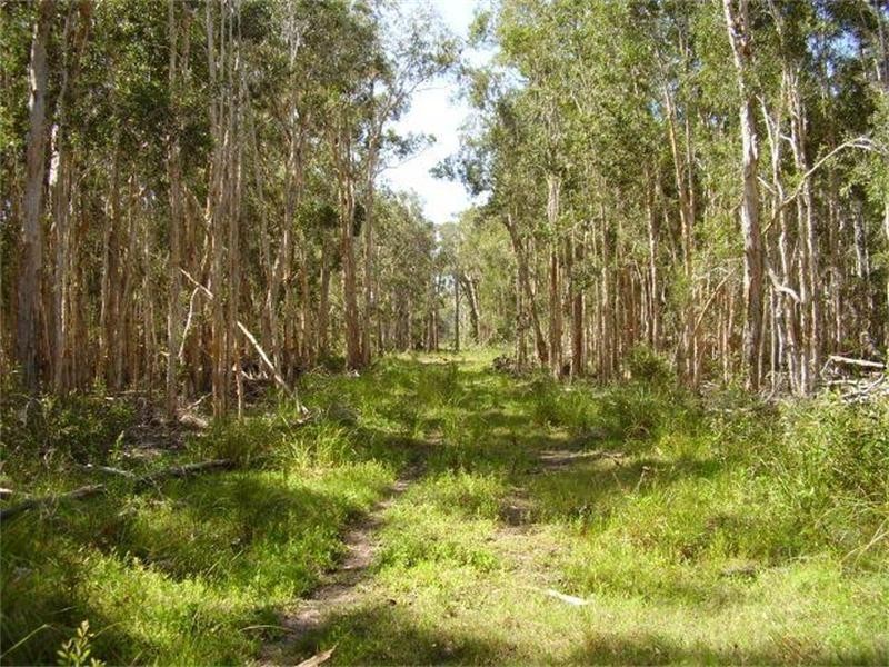 Baffle Creek QLD 4674