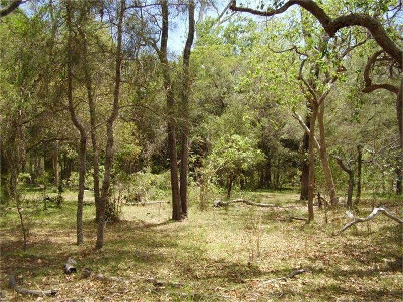 Baffle Creek QLD 4674