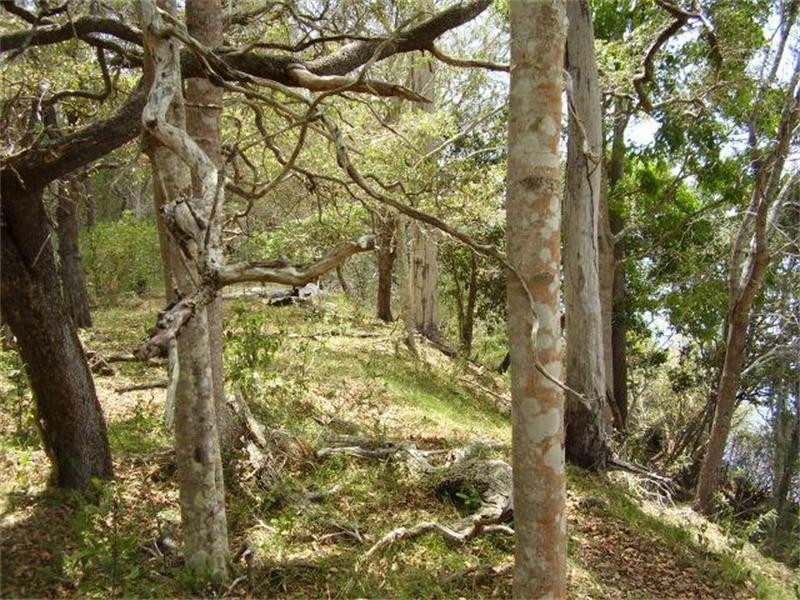 Baffle Creek QLD 4674