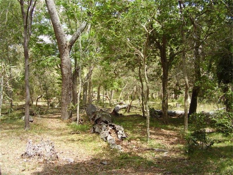 Baffle Creek QLD 4674