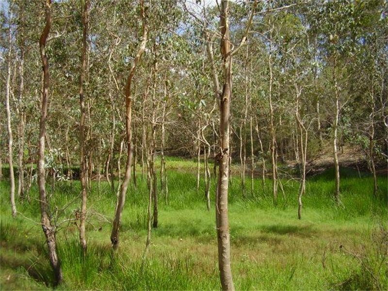 Baffle Creek QLD 4674