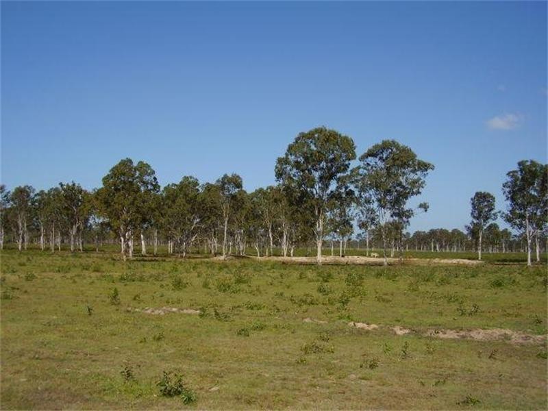 Baffle Creek QLD 4674