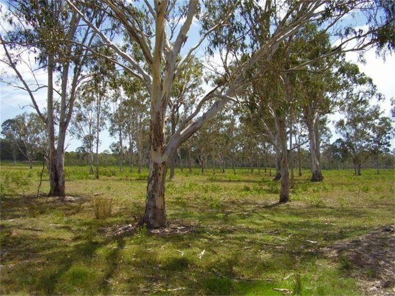 Baffle Creek QLD 4674