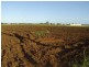 Calavos QLD 4670