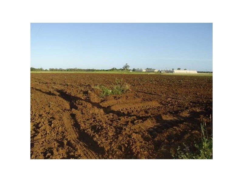 Calavos QLD 4670