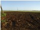 Calavos QLD 4670