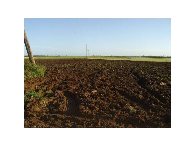 Calavos QLD 4670