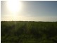 Calavos QLD 4670