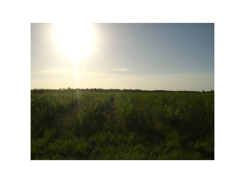 Calavos QLD 4670