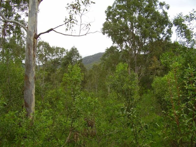 Mount Maria QLD 4674