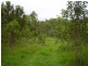 Mount Maria QLD 4674