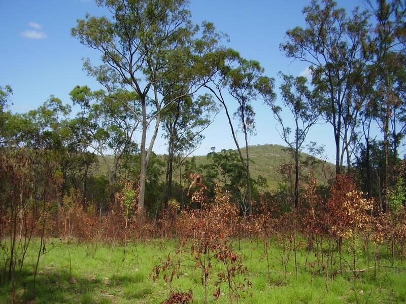 Mount Maria QLD 4674
