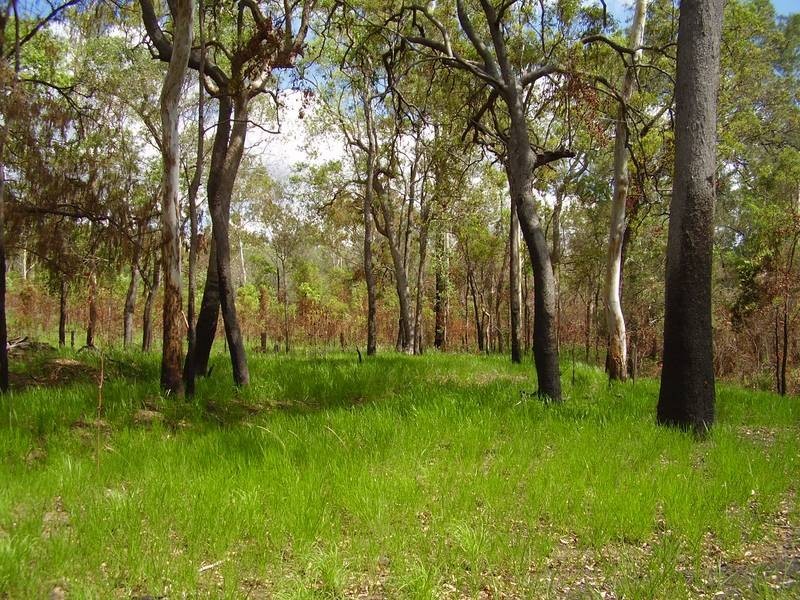 Mount Maria QLD 4674