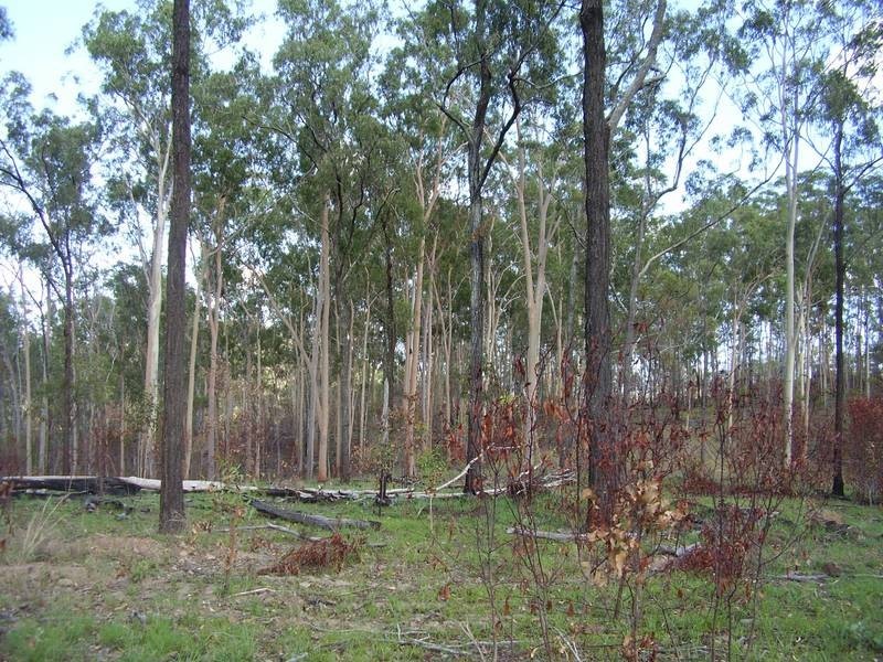 Mount Maria QLD 4674