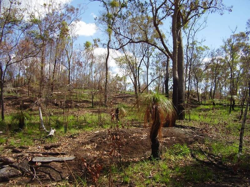 Mount Maria QLD 4674