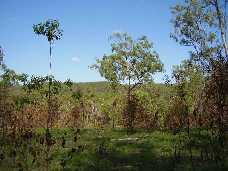 Mount Maria QLD 4674