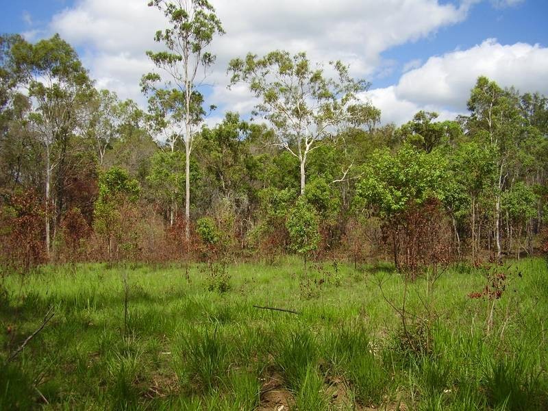 Mount Maria QLD 4674