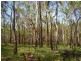 Mount Maria QLD 4674