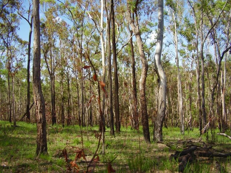 Mount Maria QLD 4674