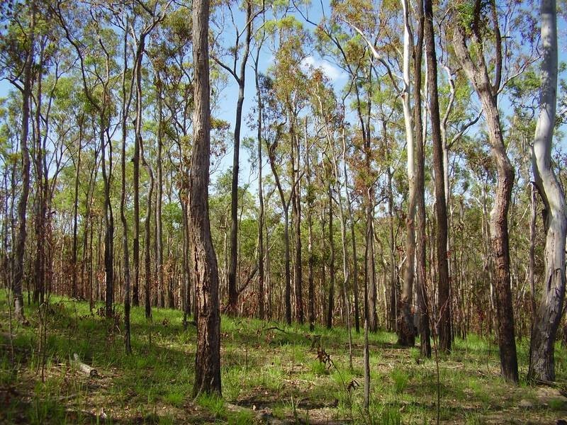 Mount Maria QLD 4674
