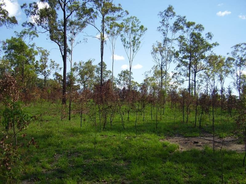 Mount Maria QLD 4674