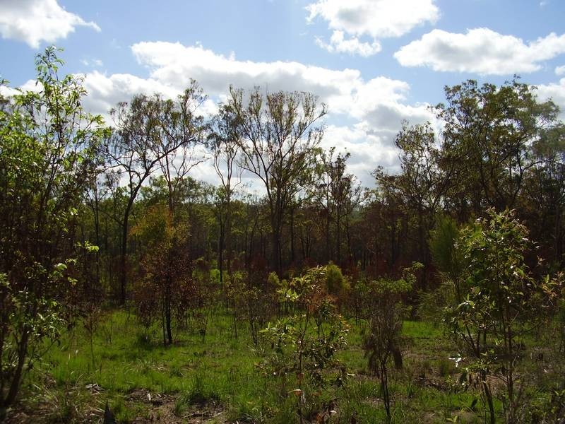 Mount Maria QLD 4674