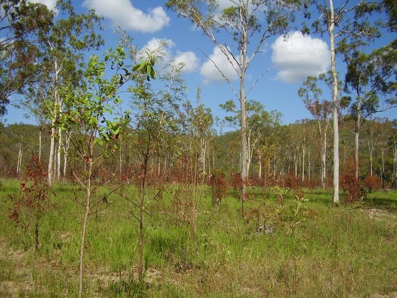 Mount Maria QLD 4674