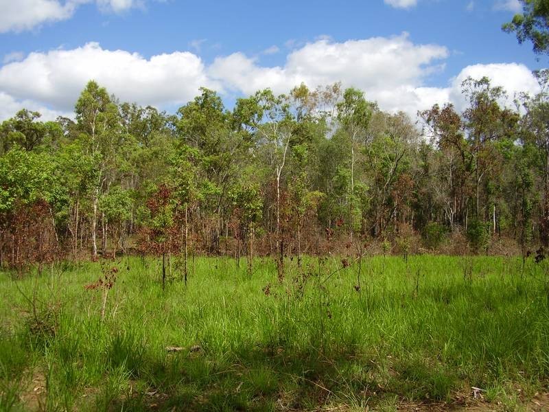 Mount Maria QLD 4674