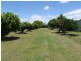 Bundaberg QLD 4670
