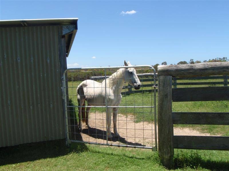 Bundaberg QLD 4670