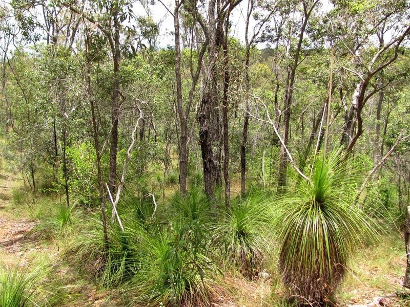 35 Tableland Road, Mount Maria QLD 4674