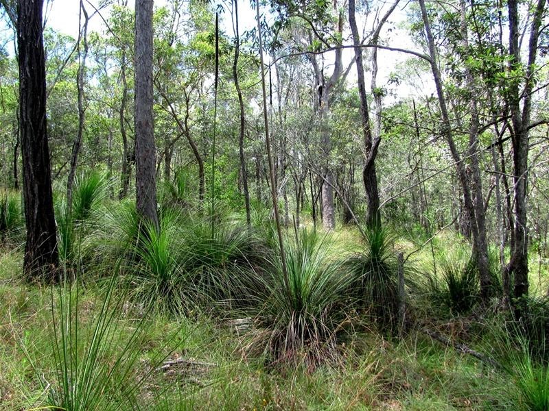 35 Tableland Road, Mount Maria QLD 4674